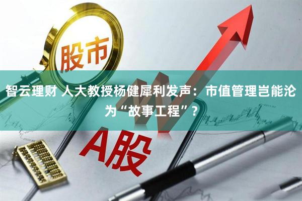 智云理财 人大教授杨健犀利发声：市值管理岂能沦为“故事工程”？