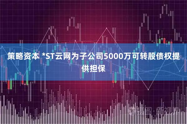 策略资本 *ST云网为子公司5000万可转股债权提供担保