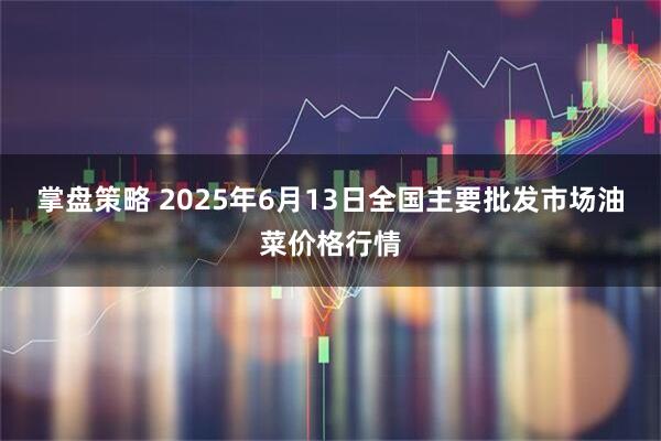 掌盘策略 2025年6月13日全国主要批发市场油菜价格行情