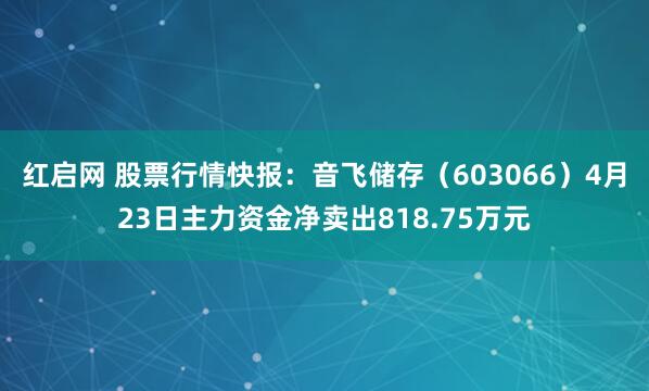 红启网 股票行情快报:音飞储存(603066)4月23日主力资金净卖出818.75万元