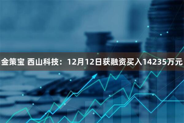 金策宝 西山科技：12月12日获融资买入14235万元